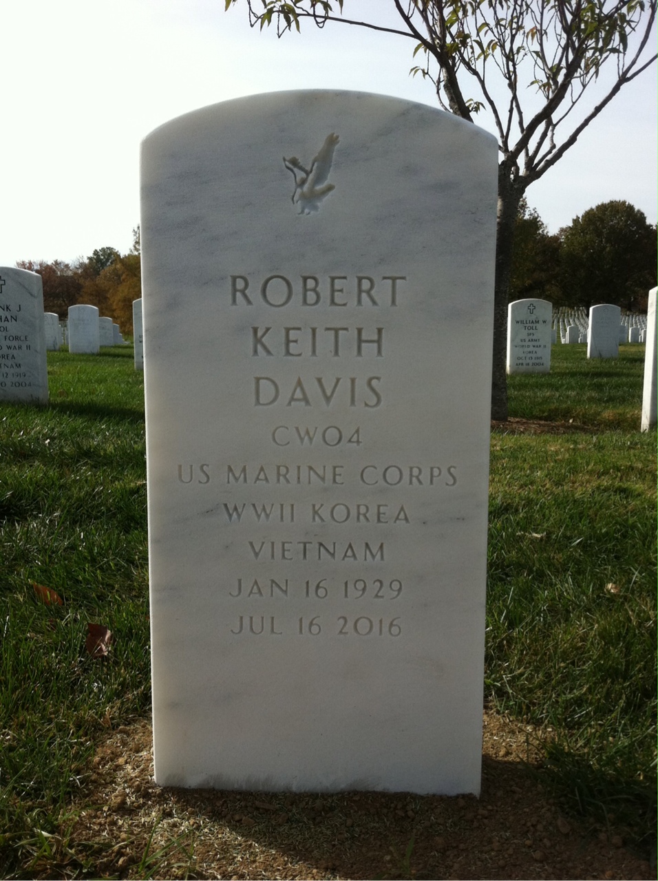 Robert Davis