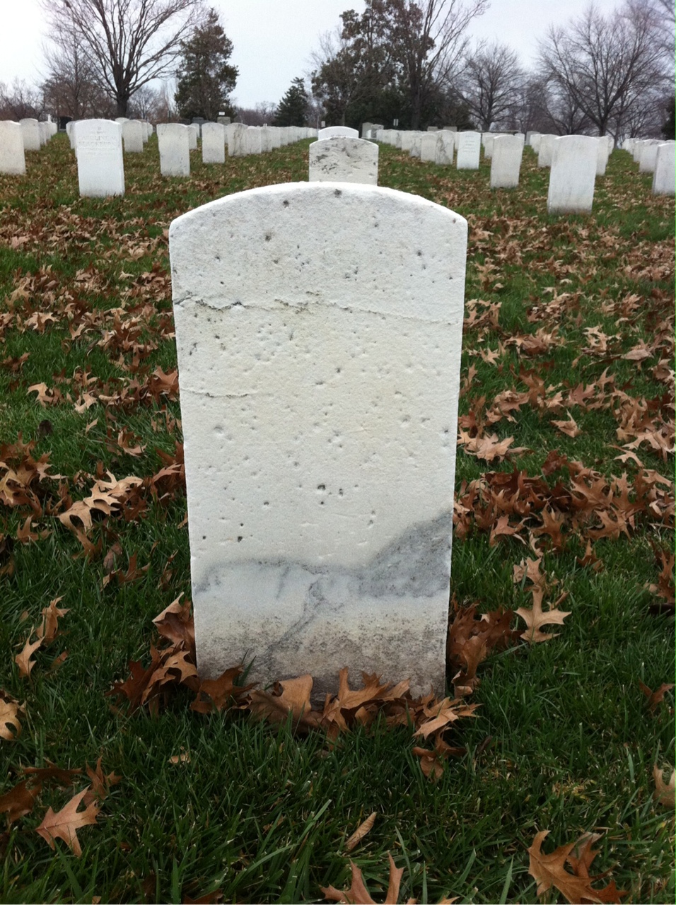 Back of headstone — George Argo