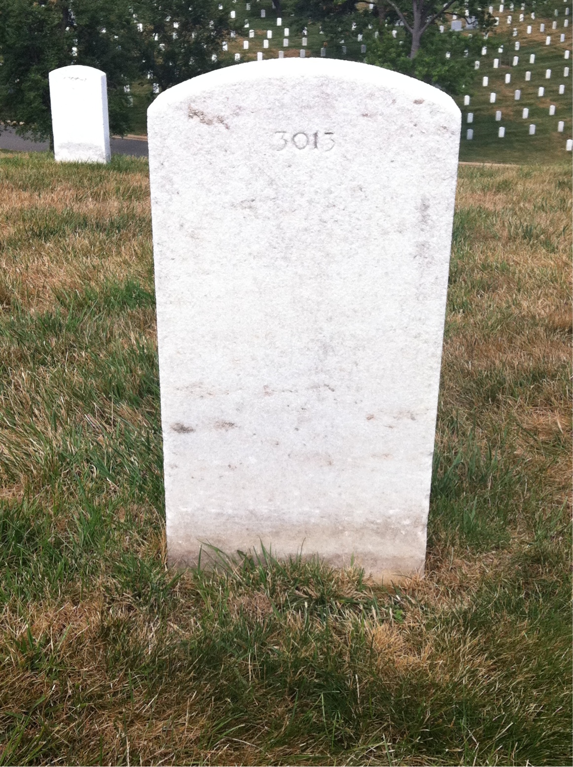 Back of headstone — William Moynan