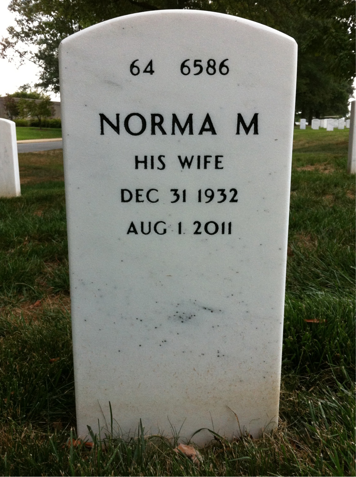 Back of headstone — Steve Augerinos