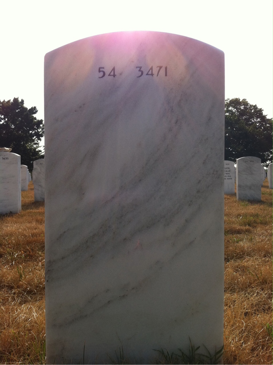 Back of headstone — Elgin Hayes
