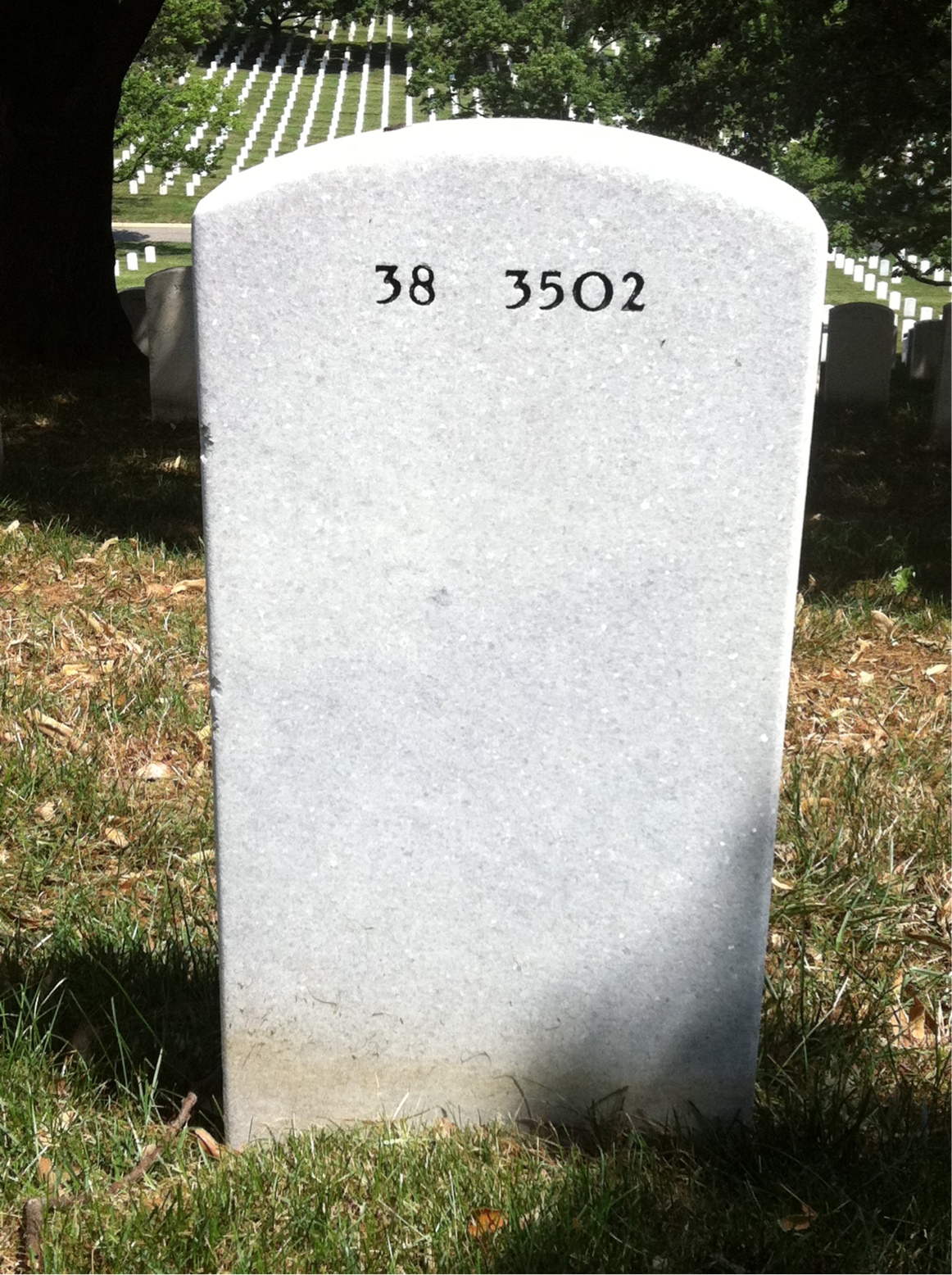 Back of headstone — John Chesley