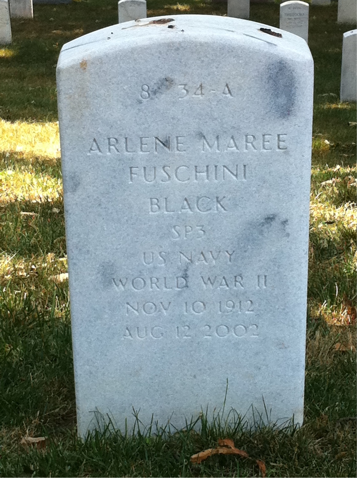 Back of headstone — William Black