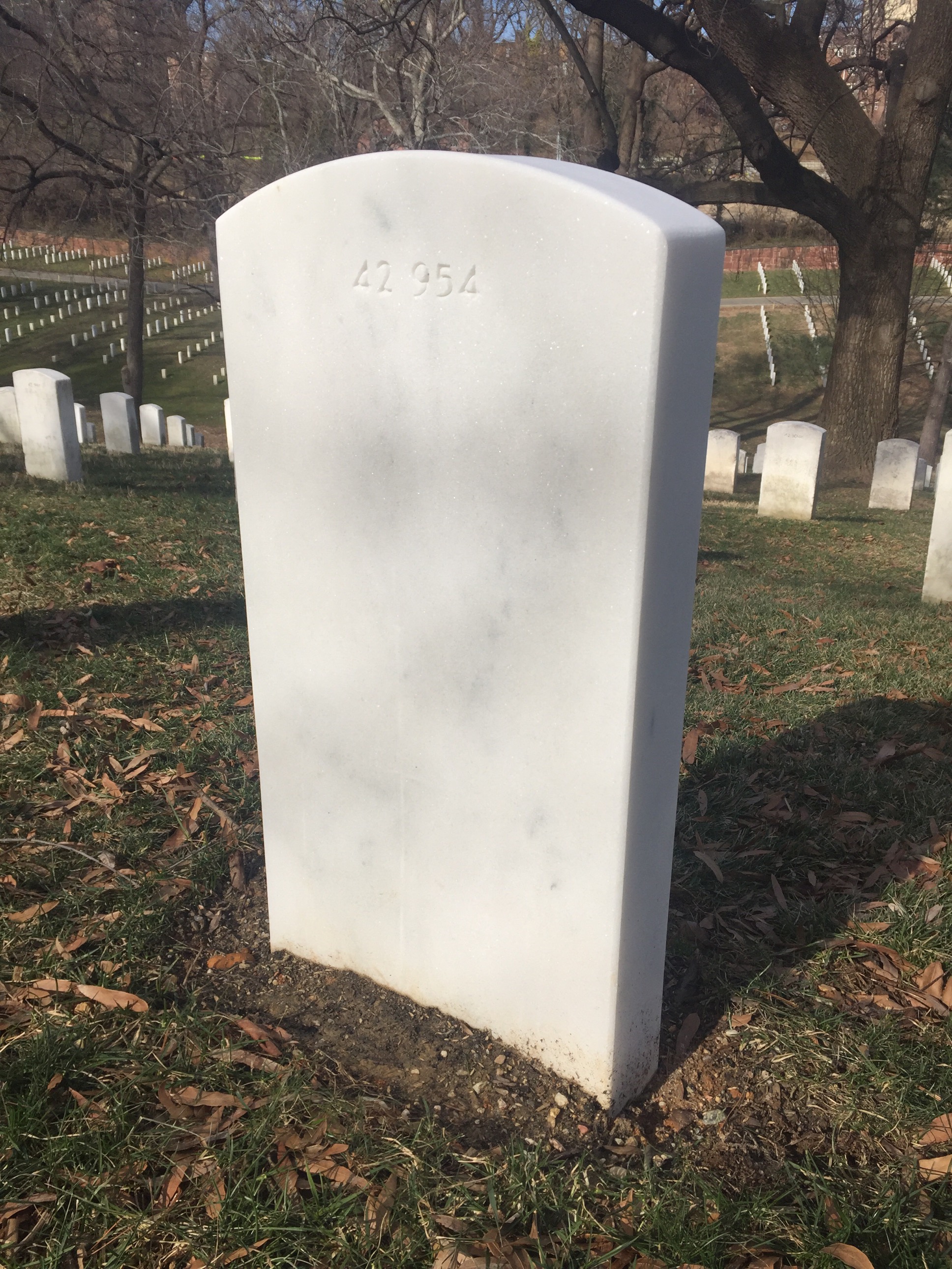 Back of headstone — Chester Wesley Taylor