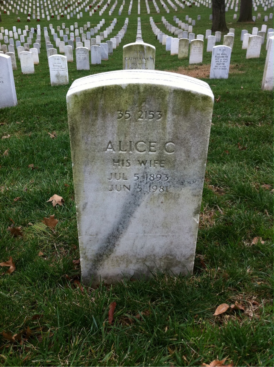 Back of headstone — Thomas J Flynn
