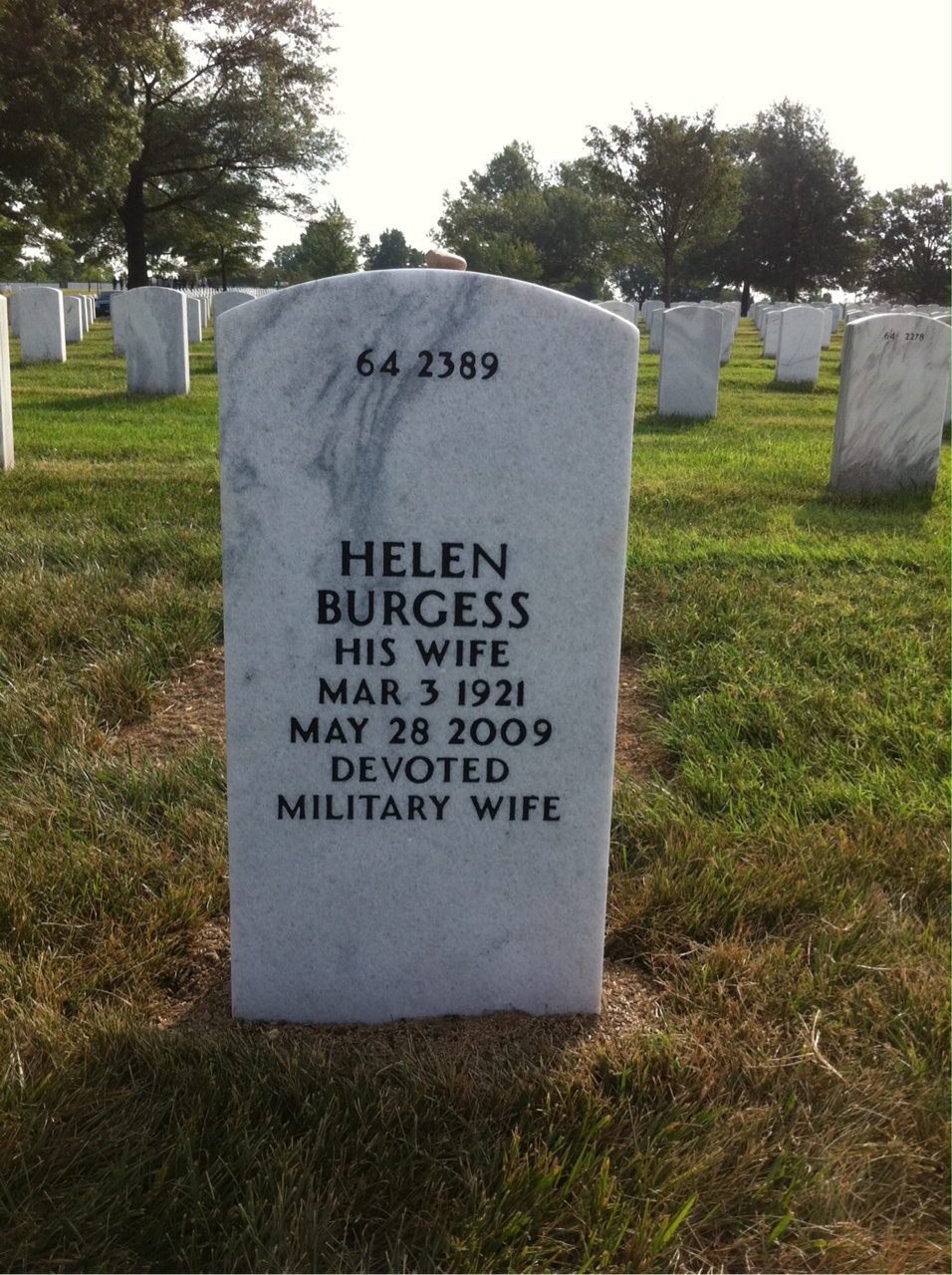 Back of headstone — Robert Terrill