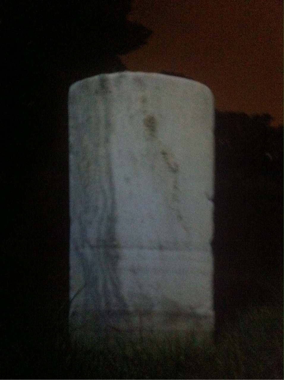 Back of headstone — Foster Blakely