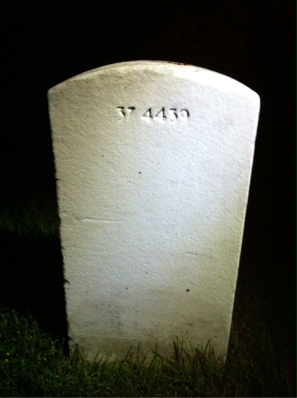 Back of headstone — Stanley Bienia