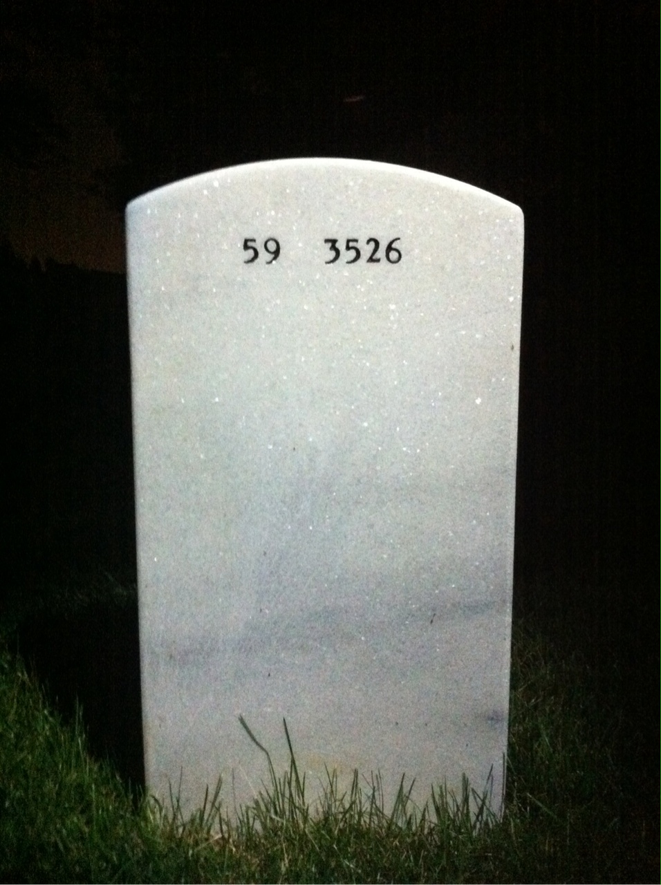 Back of headstone — Iladene Filer