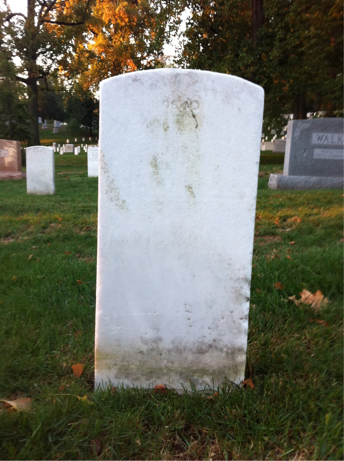 Back of headstone — Emil Artois
