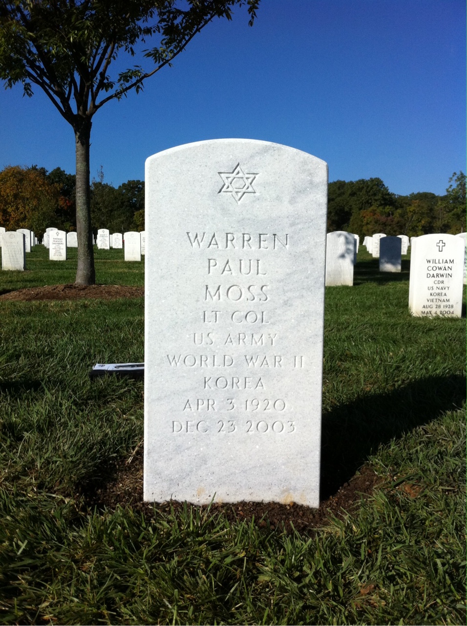 Warren Moss