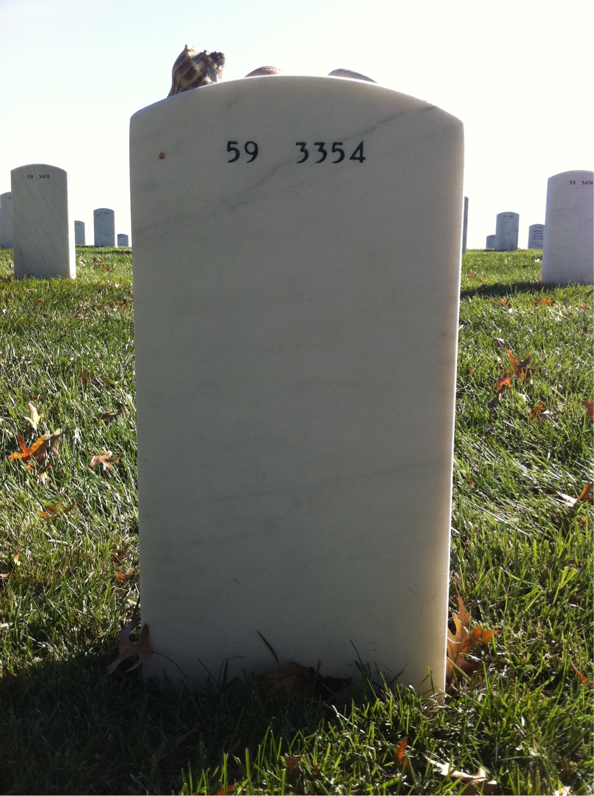 Back of headstone — Carl Varner