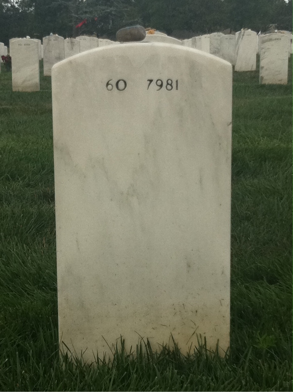 Back of headstone — Justin Schmidt