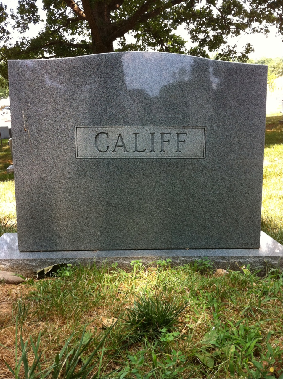 Back of headstone — Toxey Califf