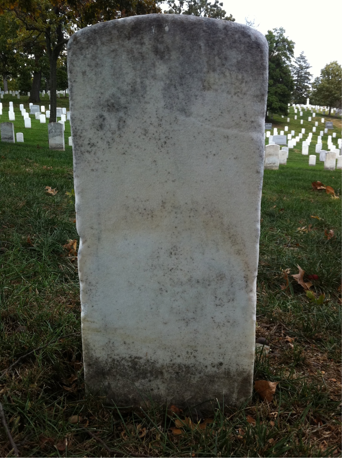 Back of headstone — William Alley