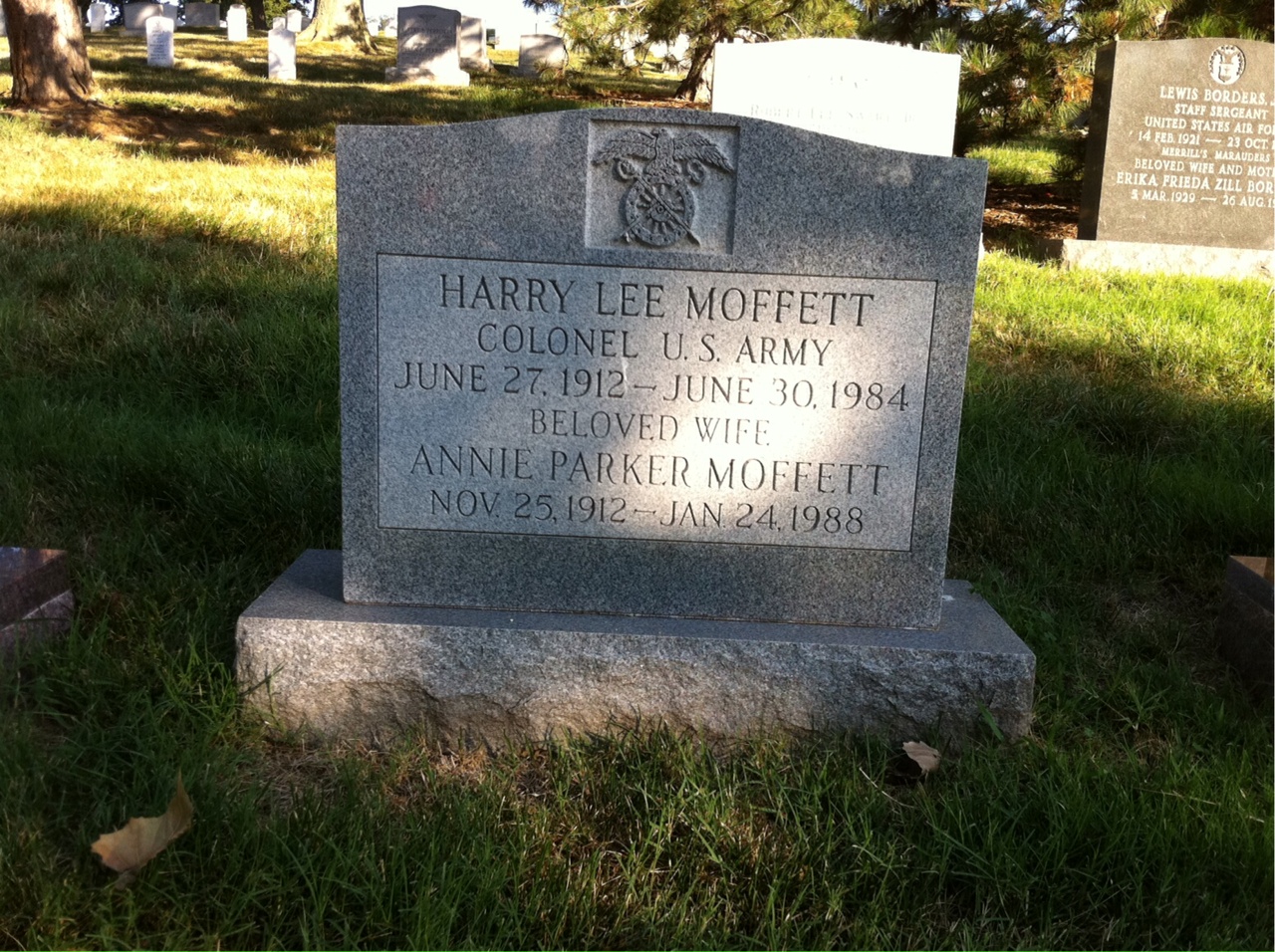Annie Moffett