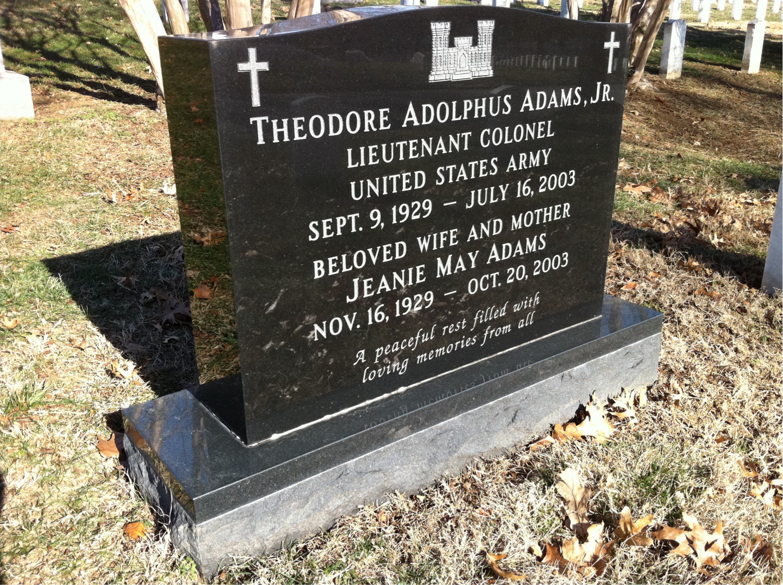 Theodore Adams