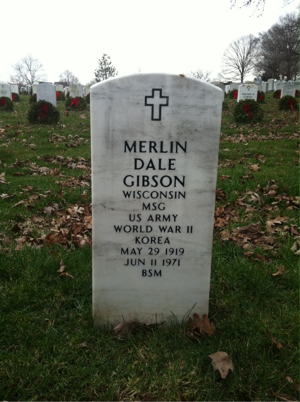 Merlin Gibson