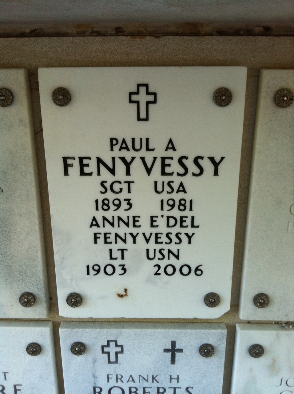 Anne Fenyvessy