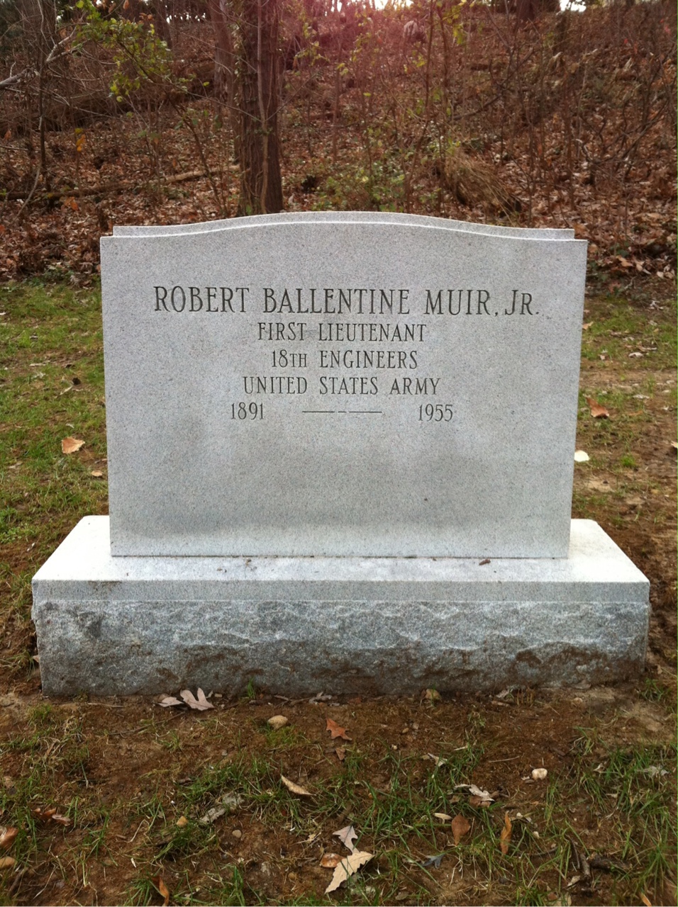 Robert Muir