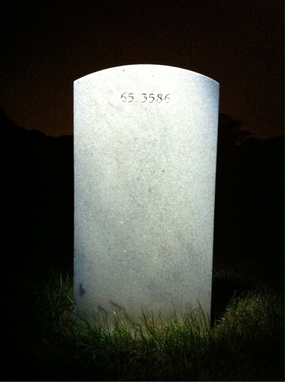 Back of headstone — Robert William Truesdell