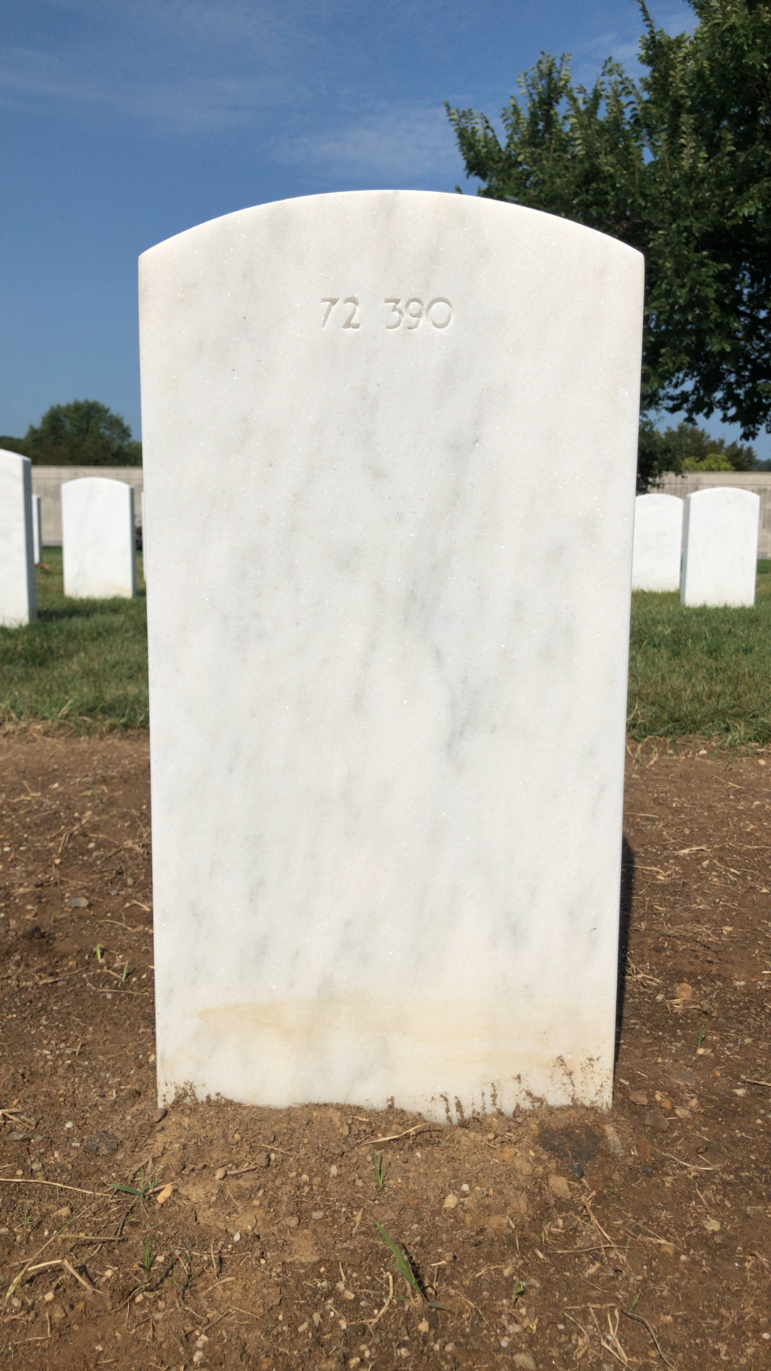 Back of headstone — Thomas Clinton Wyld