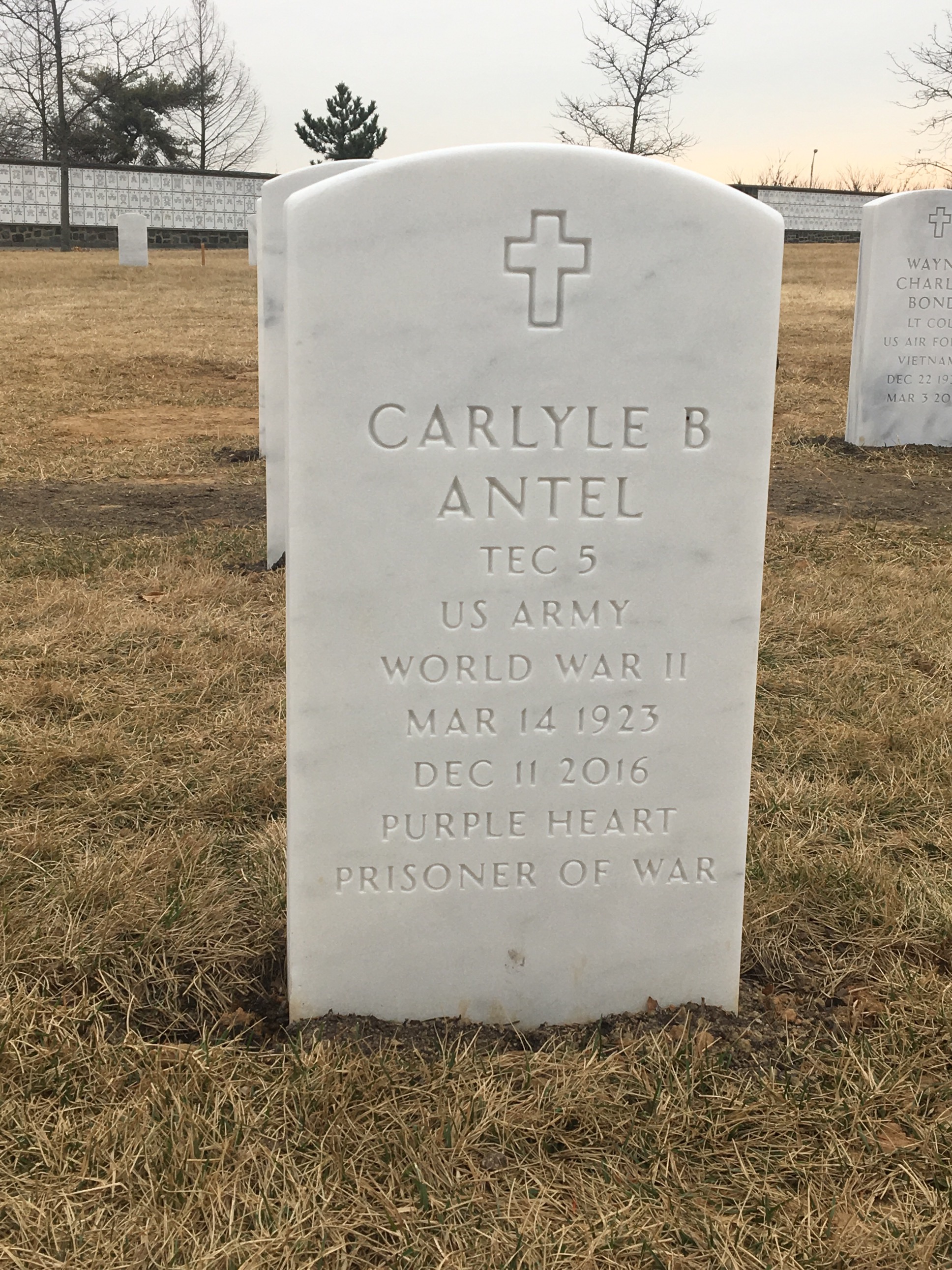 Carlyle Antel