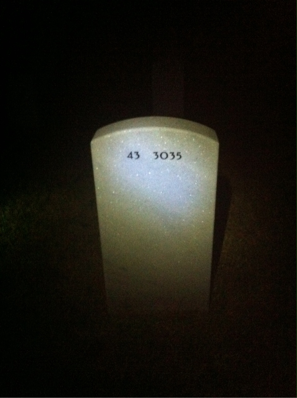 Back of headstone — David Delane