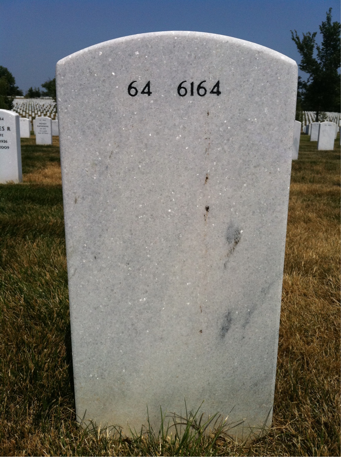 Back of headstone — Freeman Myers