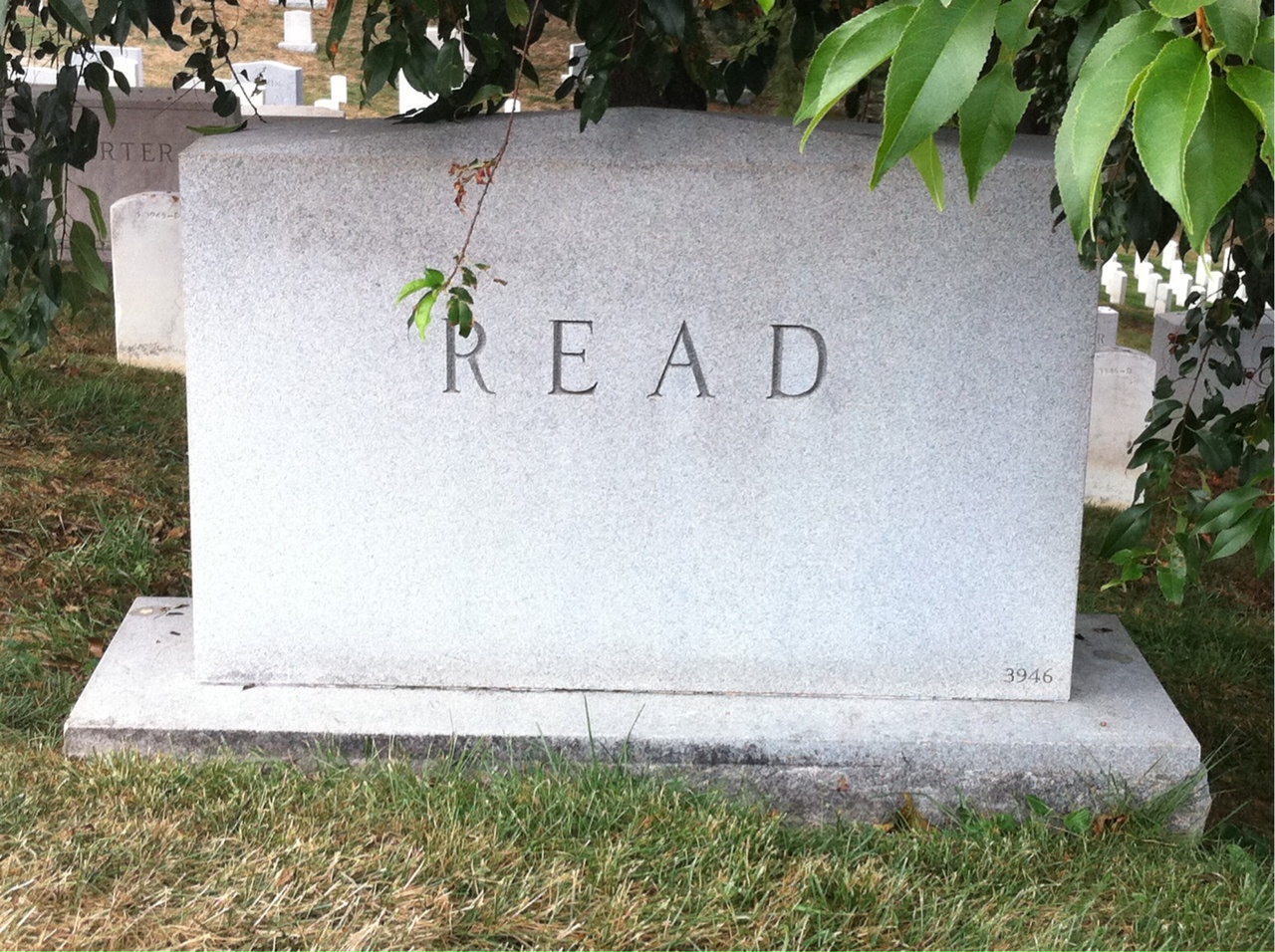 Back of headstone — George Windle Read