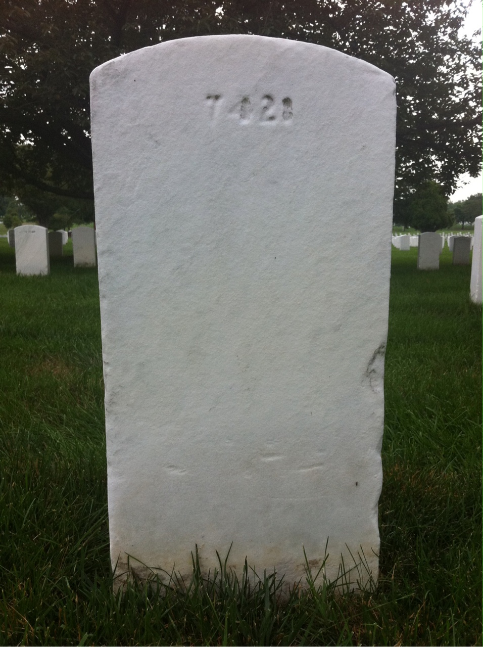 Back of headstone — Ellwood Bauman