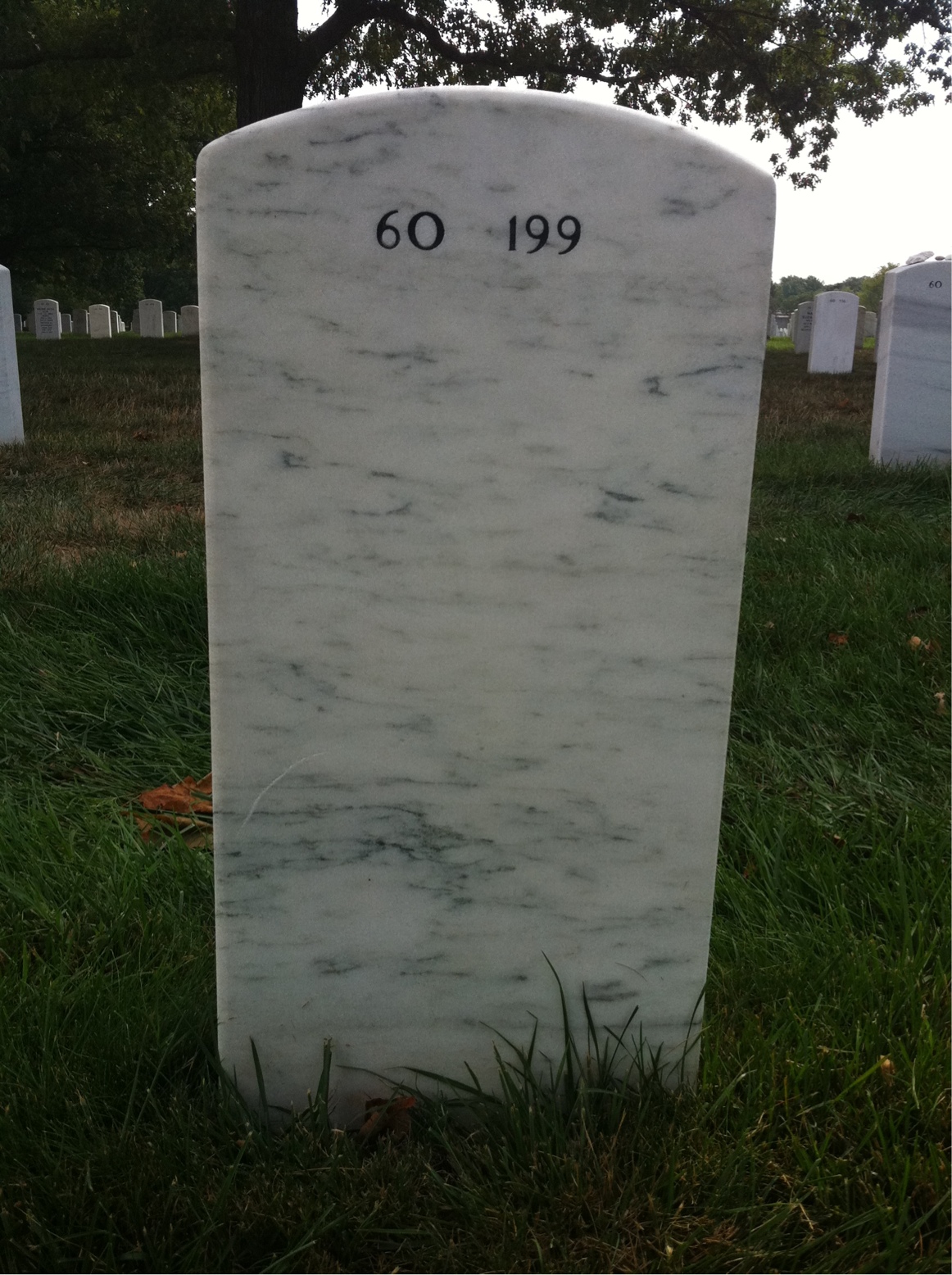 Back of headstone — Chester Bolding