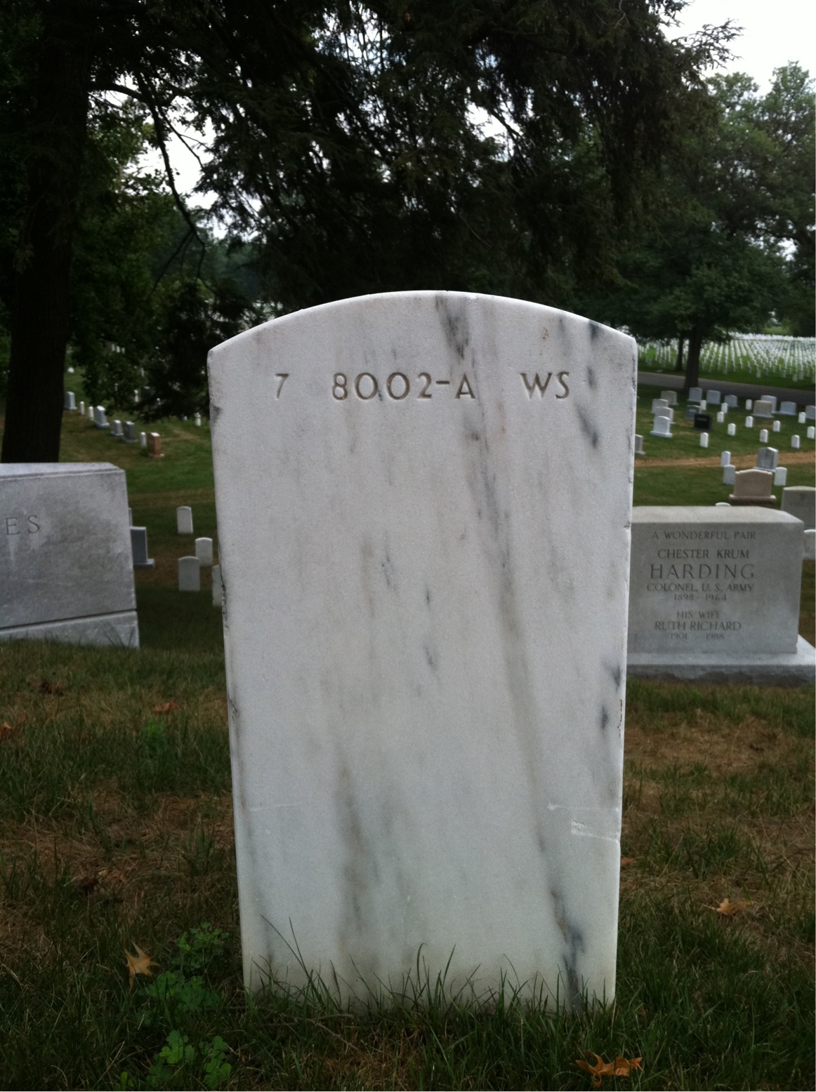 Back of headstone — Mary Bigelow