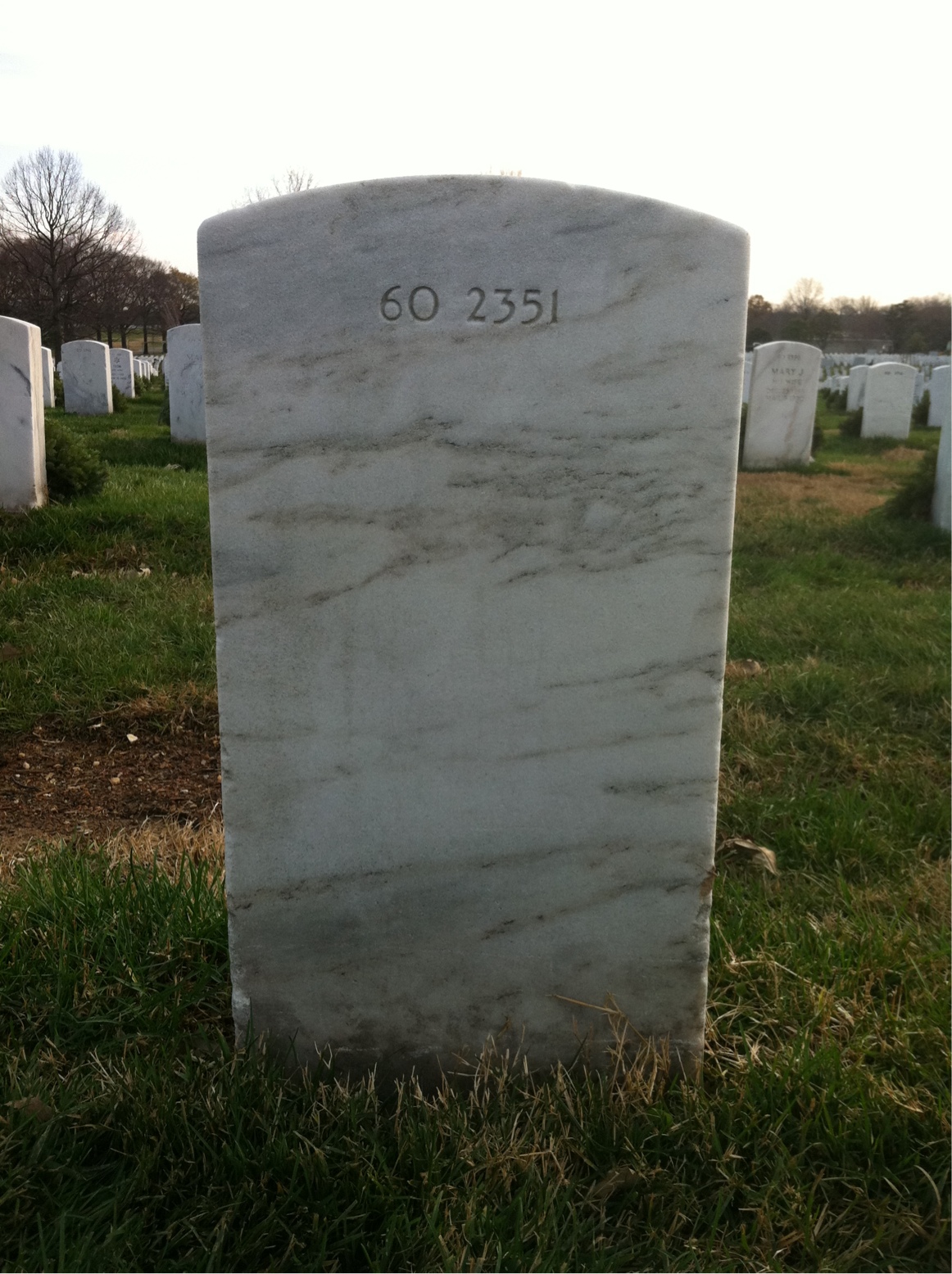 Back of headstone — Levester Mills