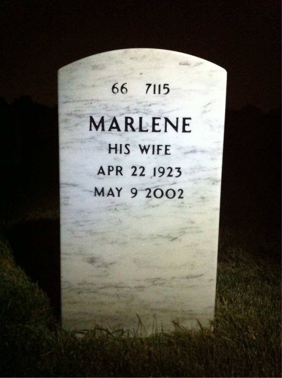 Back of headstone — Alfred Plesser