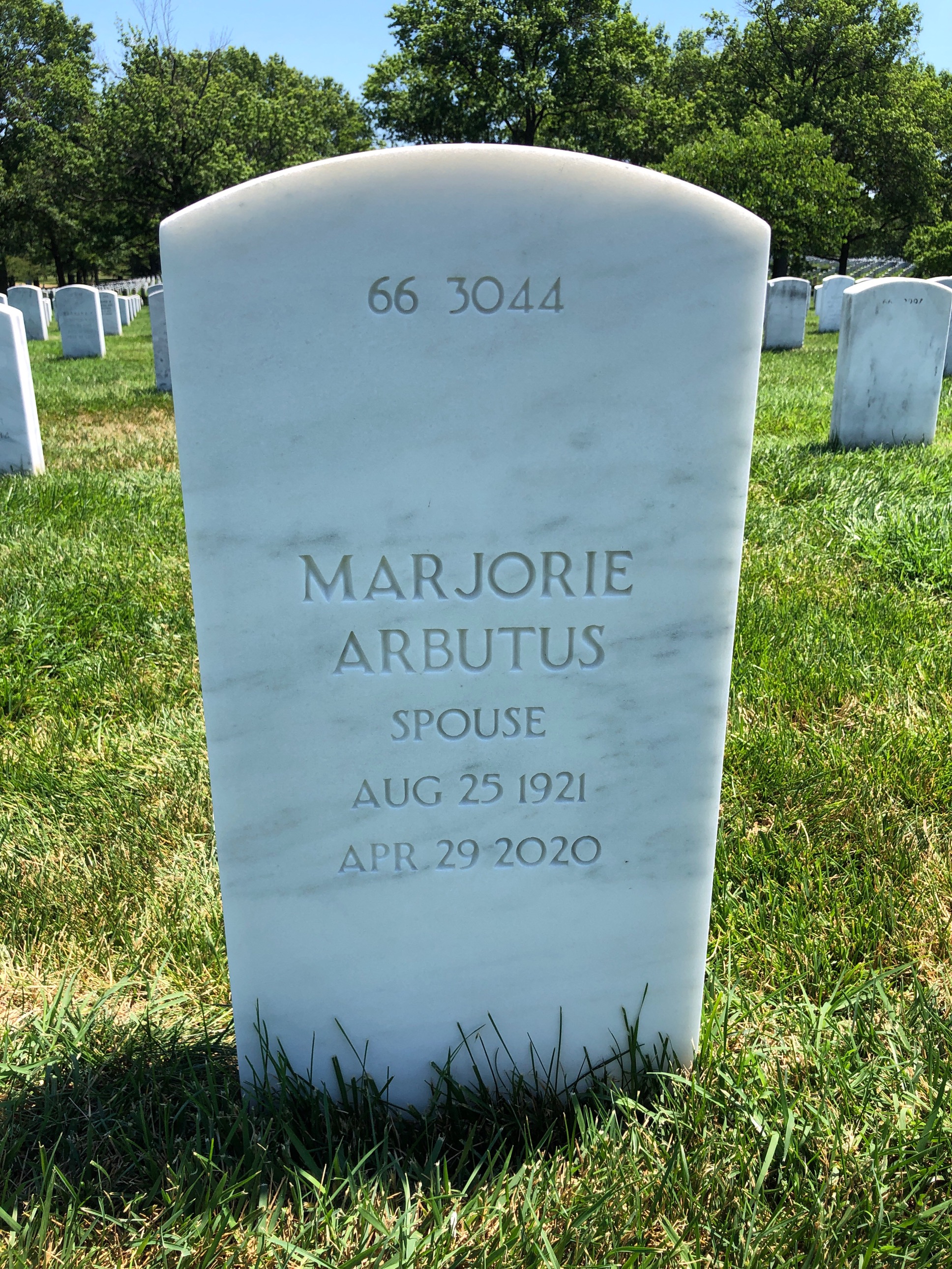 Back of headstone — Mario Susinna