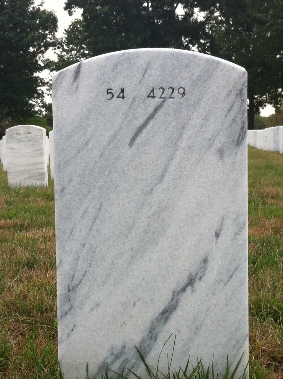 Back of headstone — Darwin Deck