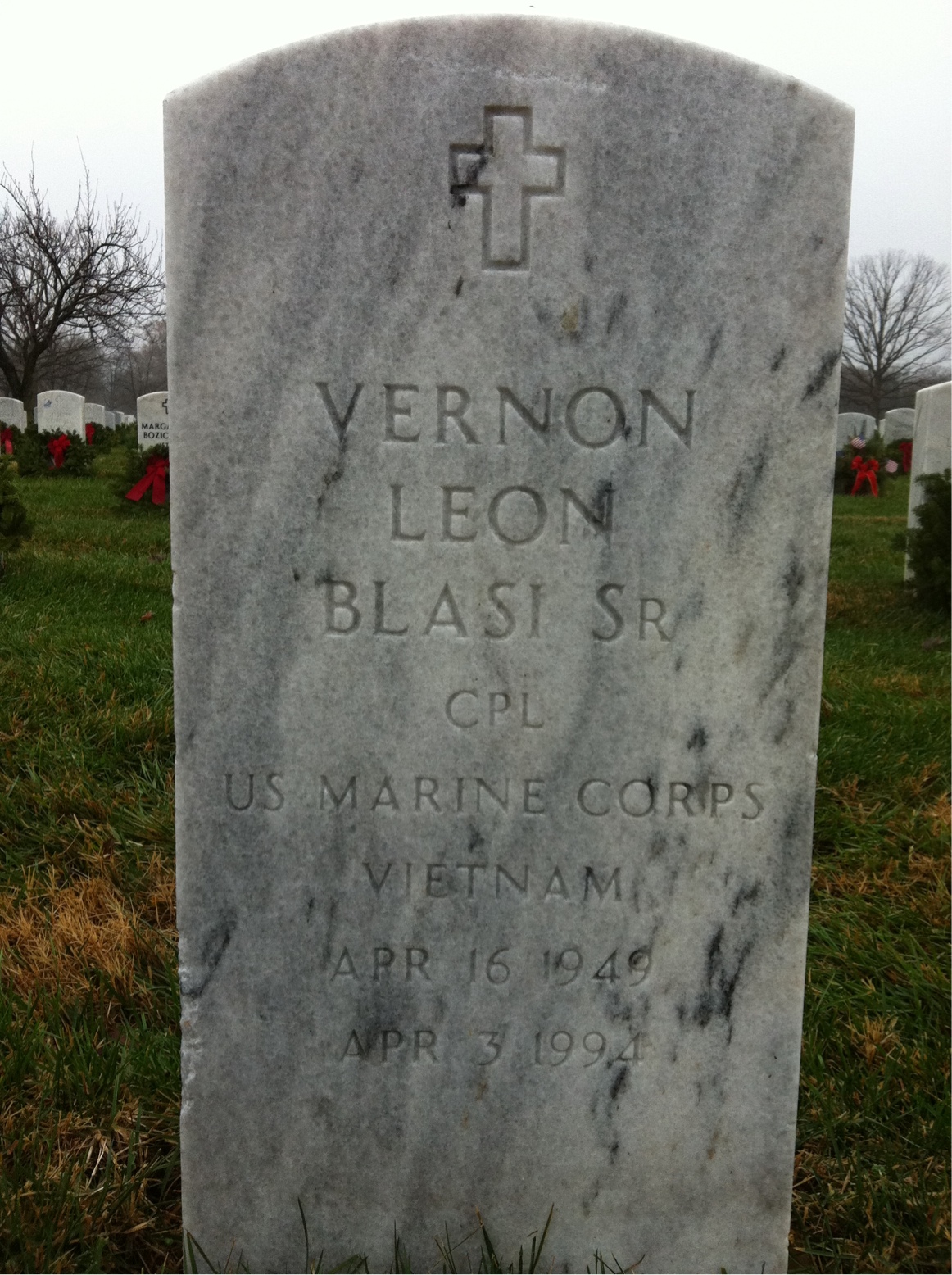 Vernon L Blasi