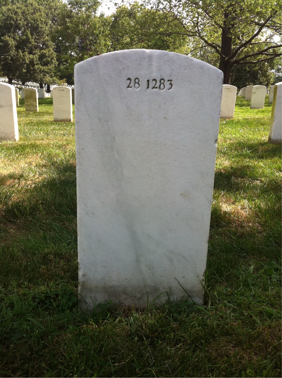 Back of headstone — James Albano