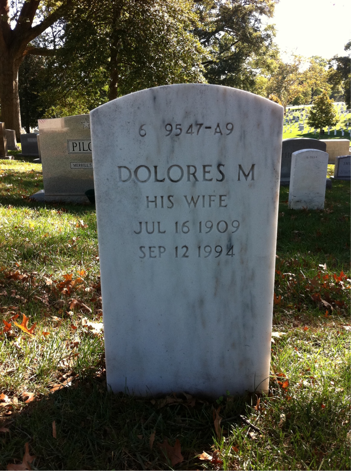 Back of headstone — Alexander Mciver