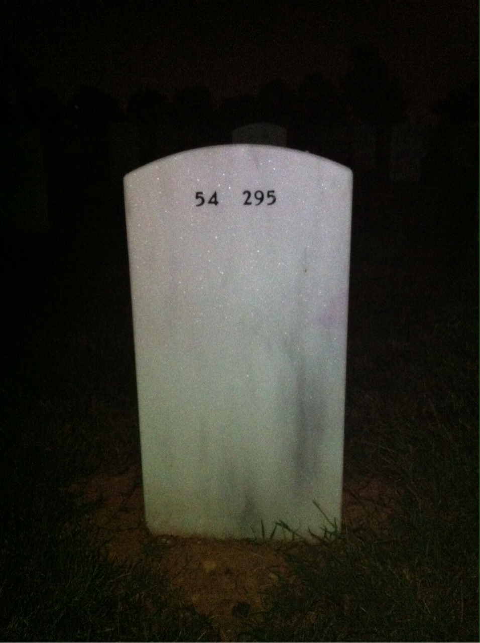 Back of headstone — William Reaves