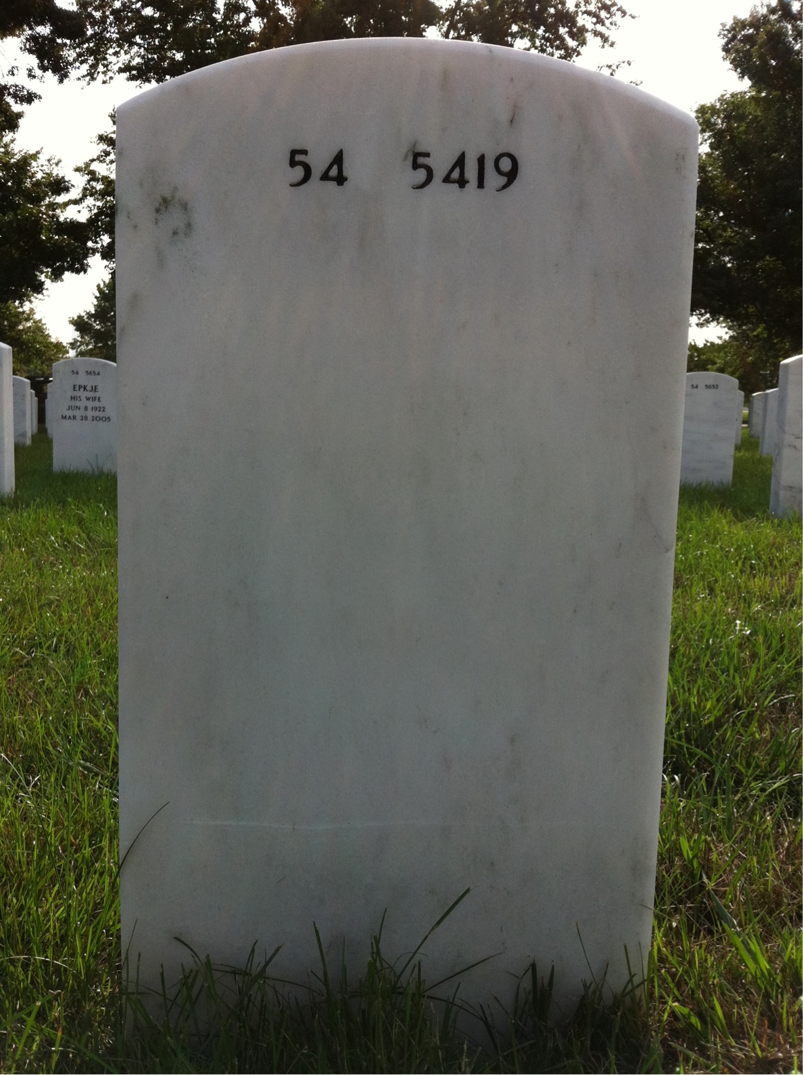 Back of headstone — Theodore Simmons