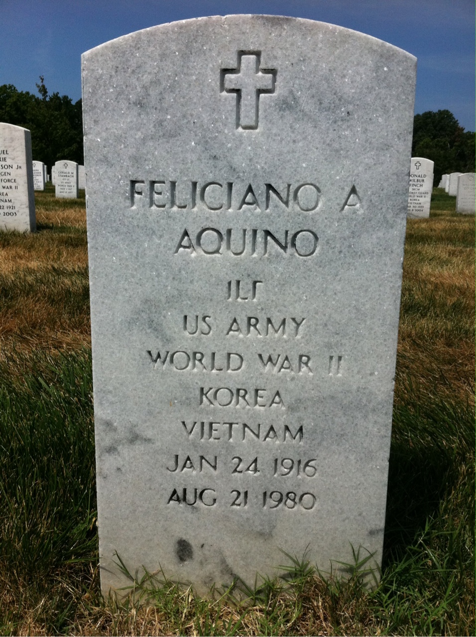 Andrea Aquino