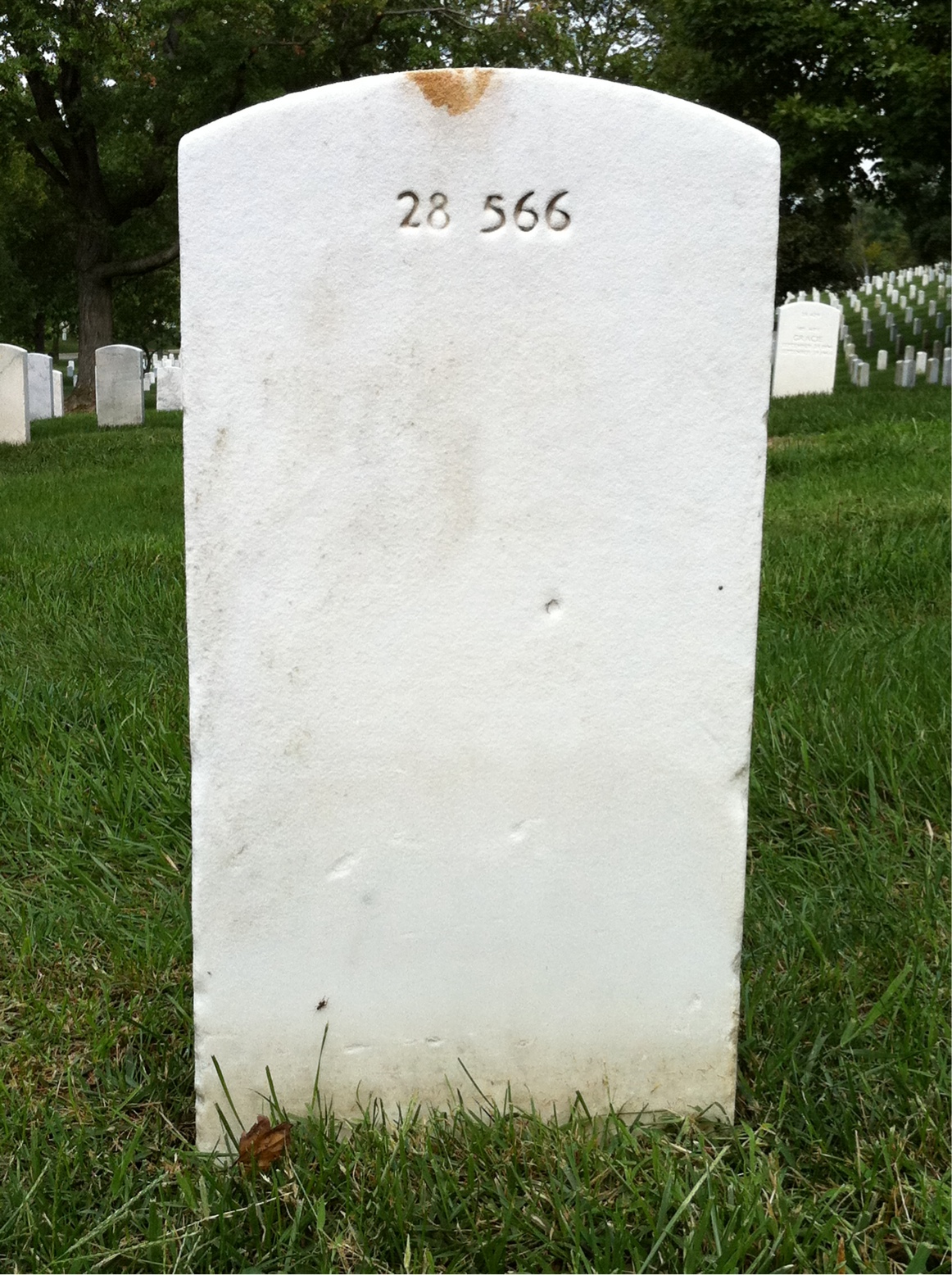 Back of headstone — Clarence Barone