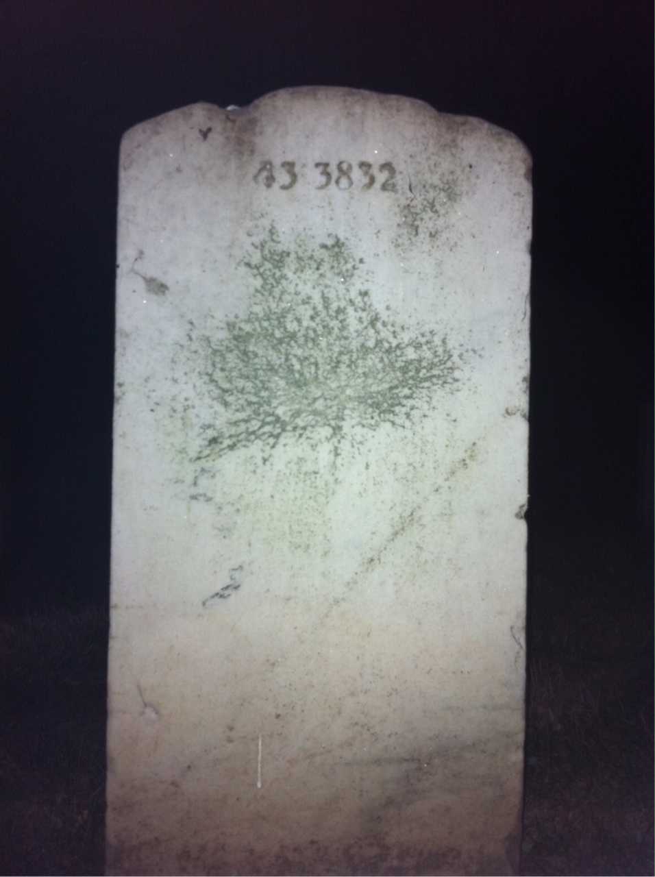 Back of headstone — Willie J Thomas