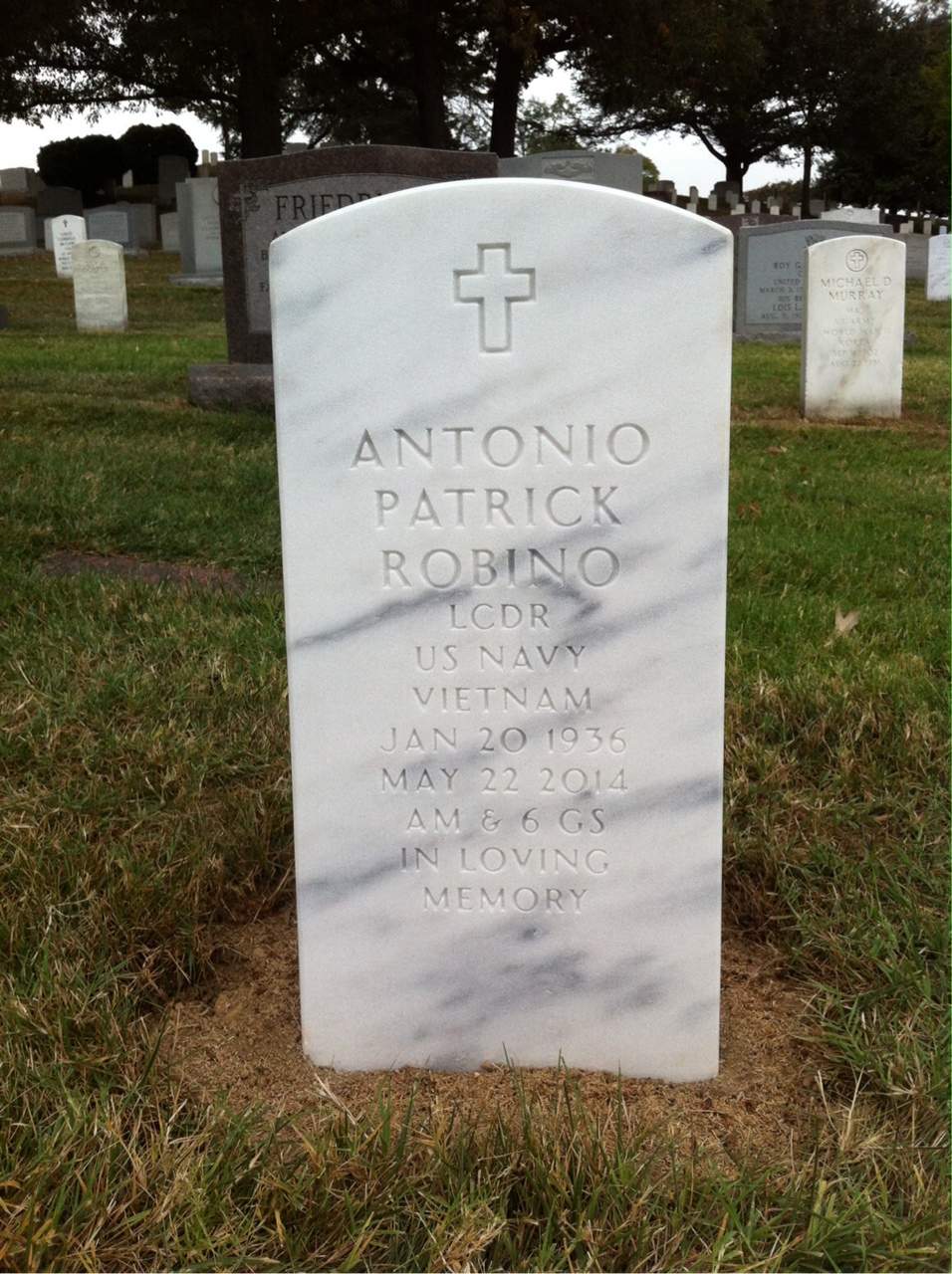 Antonio Patrick Robino