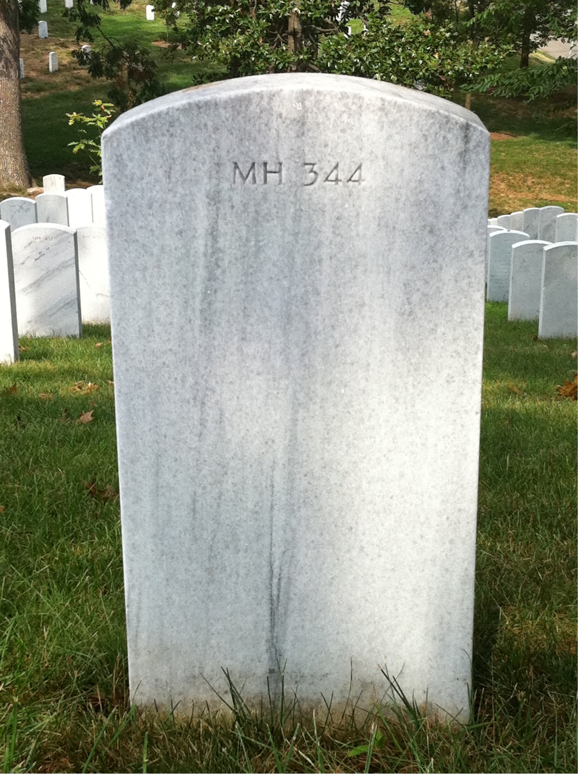 Back of headstone — Jackson Mize
