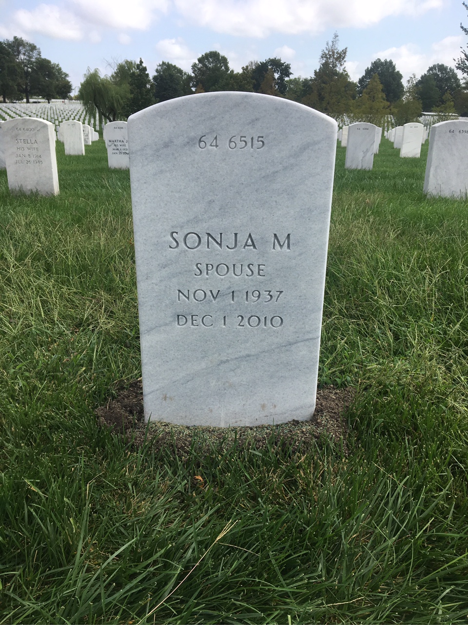 Back of headstone — Herbert Bailey