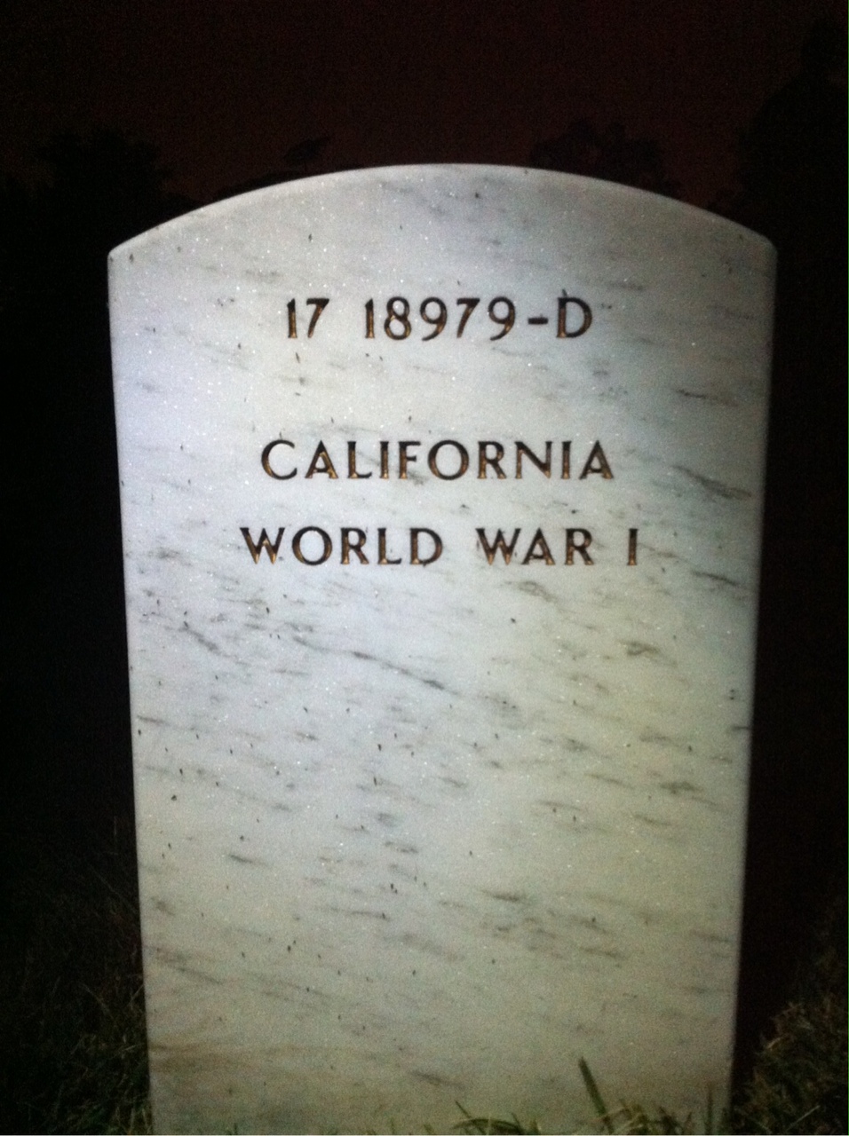 Headstone of Frank A. Young