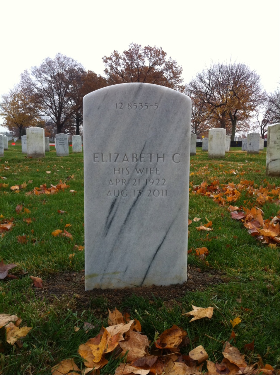 Back of headstone — David Mott